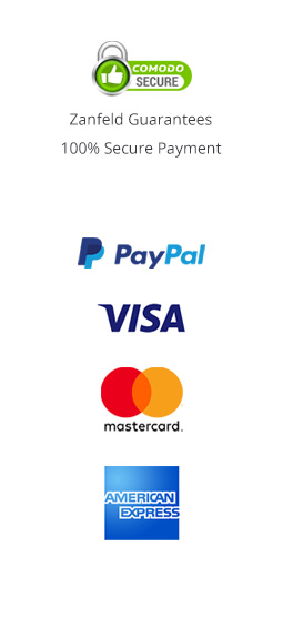 PayPal VISA MasterCard AmericanExpress with Comodo SSL Secure